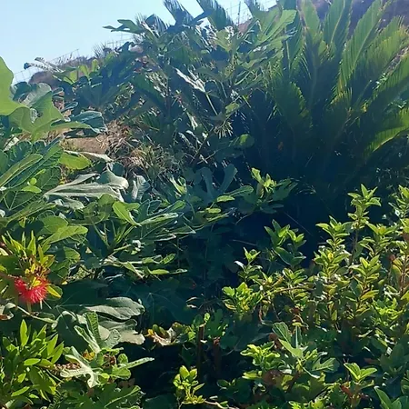 Niloya Kythnos Vakantiehuis *