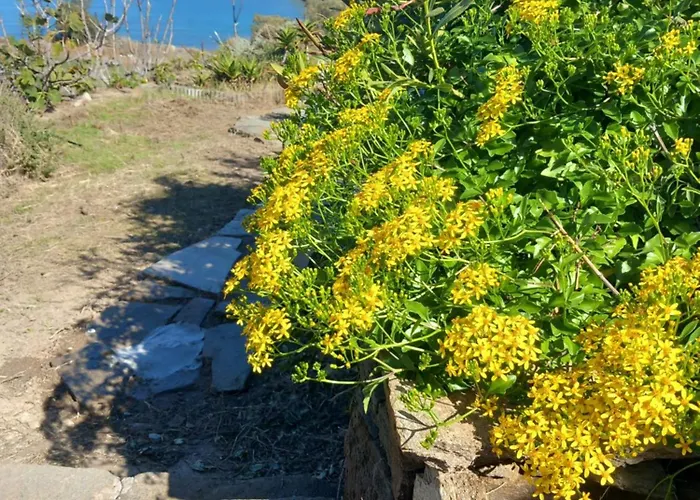 Niloya Kythnos * Loutrá